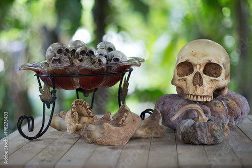 Fototapeta Naklejka Na Ścianę i Meble -  Skull on the withered pumpkin and little skulls in the glass tray wich had bones on old wooden table in the graveyard