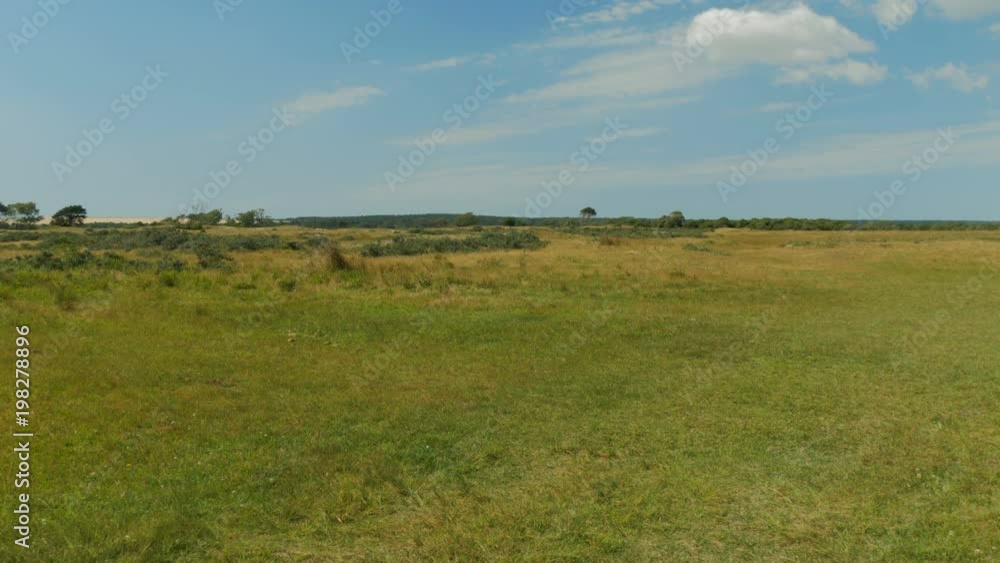 Panoramic view of the countryside in Uruguay. Panoramic view of the countryside in Uruguay.