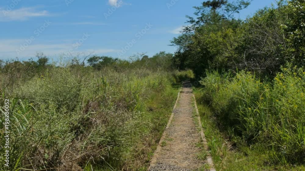 Sendero Macuco in the Iguazu National Park in Argentina. This is one of trails you can do around the park. Sendero Macuco in the Iguazu National Park in Argentina. This is one of trails you can do around the park.