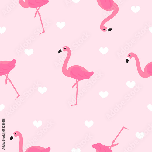 Fototapeta Ilustracja wektorowa bezszwowe wzór Flamingo. Śliczny flaming z białymi sercami na różowym tle