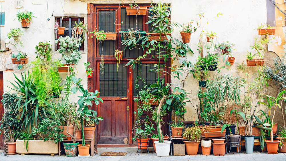 Entrance to the building with a very old vintage wooden door and lots of flowers in pots. Barcelona, Catalonia, Spain