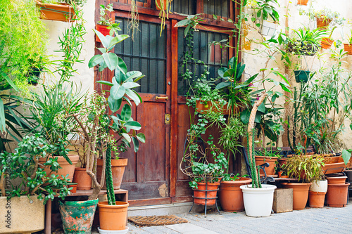Entrance to the building with a very old vintage wooden door and lots of flowers in pots. Barcelona, Catalonia, Spain © Mr. Music