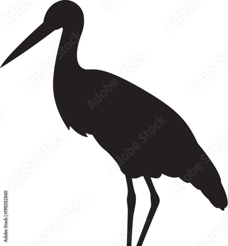 bird stork vector illustration  black silhouette profile