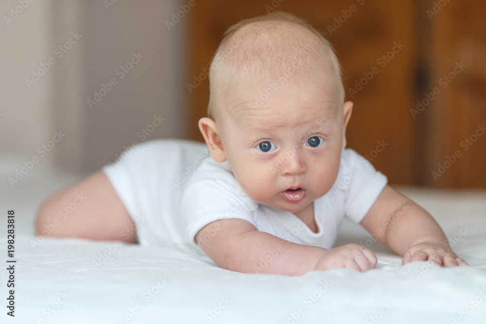 Bright portrait of a sweet little 4 months old newborn baby boy
Bright portrait of a sweet little 4 months old newborn baby boy