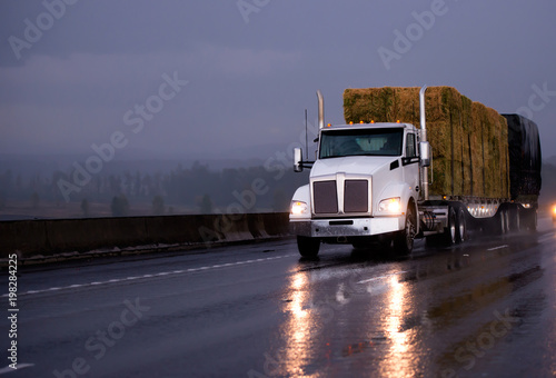 Powerful day cab big rig semi truck transporting pressed hay on flat bed trailer driving on evening wet road in rainy weather