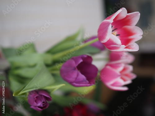 Beauty colored romantic bouquet of tulip flowers, vertical