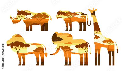 Fototapeta Naklejka Na Ścianę i Meble -  double exposure african animals lion giraffe elephant tiger rhino