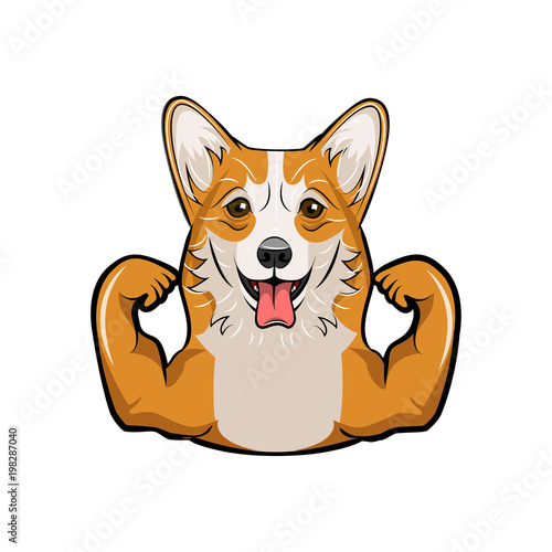 Welsh corgi dog Muscles. Dog breed. Sports Dog. Vector.