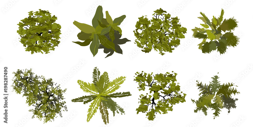 Trees top view for landscape vector illustration.