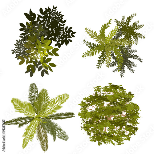 Trees top view for landscape vector illustration.