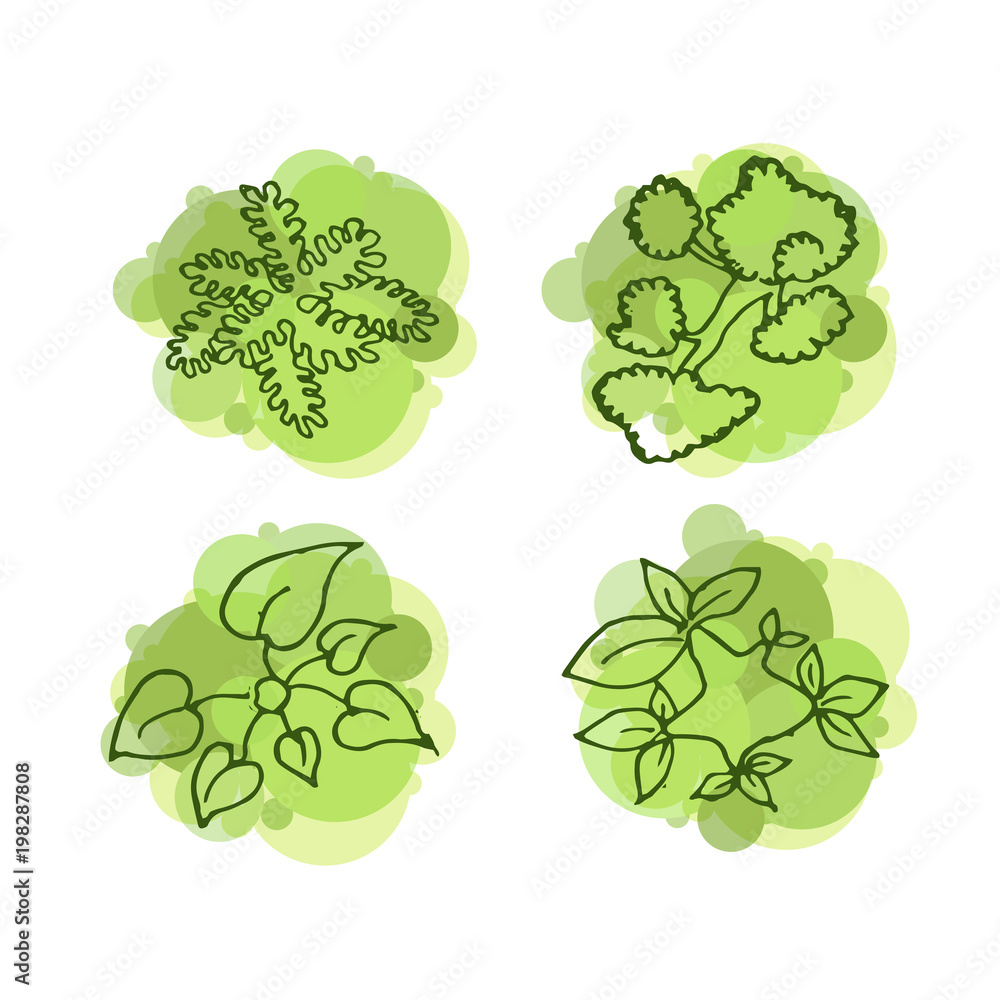 Trees top view for landscape vector illustration. Trees top view for landscape vector illustration.