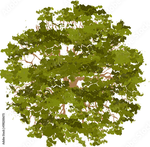 Trees top view for landscape vector illustration.