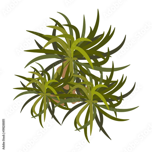 Trees top view for landscape vector illustration.