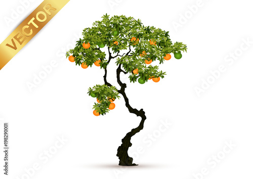 Canvas Print Beautiful tree Realistic  on a white background.