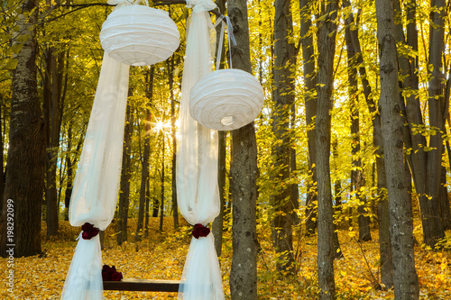 Wedding decorations in autumn forest. Beautiful wedding ceremony in autumn forest. Wedding Design elements.
 photo