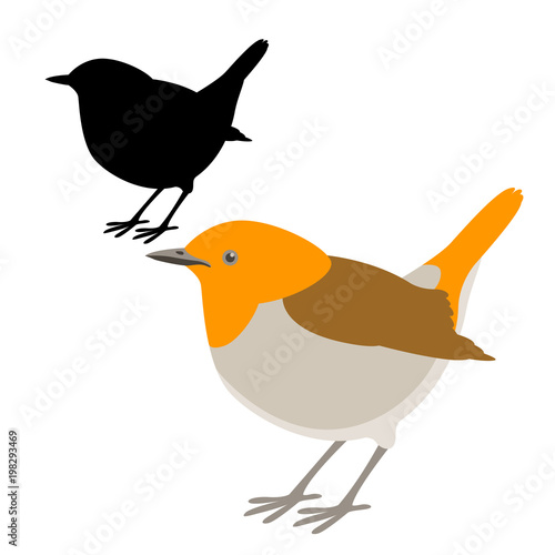 robin bird vector illustration flat style  silhouette