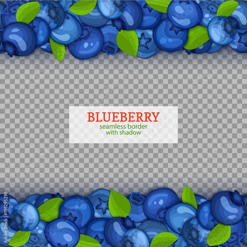 Ripe blueberry fruit horizontal seamless borders. Vector illustration card Wide and narrow endless strip with blue berry for design of food packaging juice breakfast, cosmetics, tea, detox diet