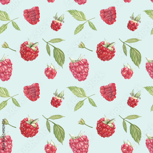 Hand drawn watercolor painting raspberry on white background. Botanical illustration. Seamless pattern
