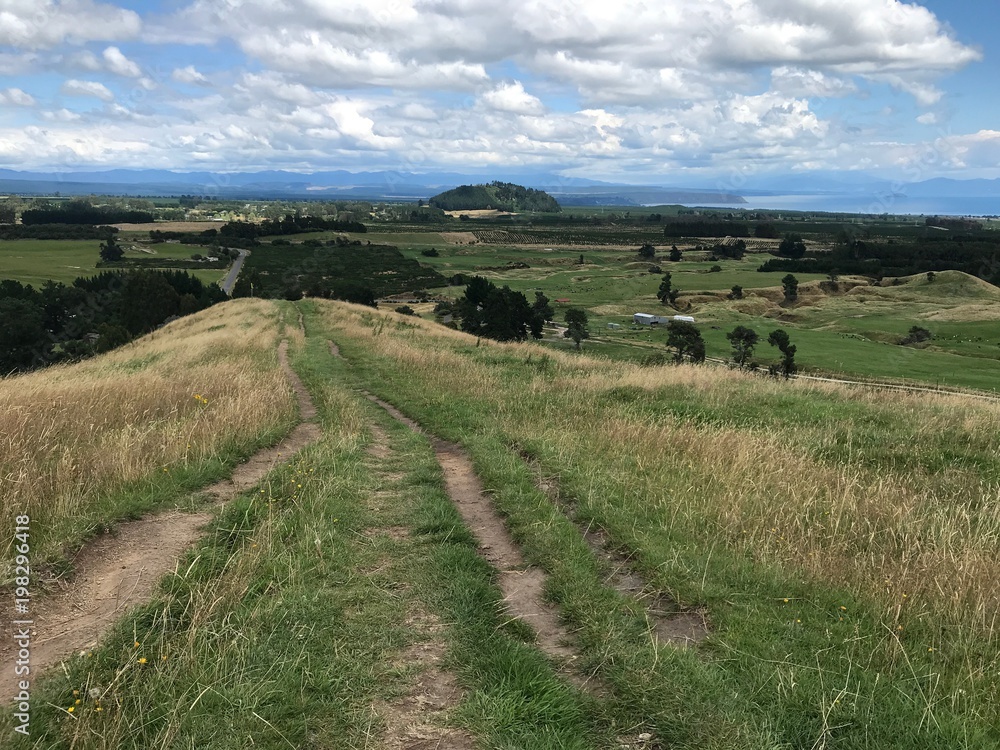 Naklejka premium Vista of Taupo surrounds