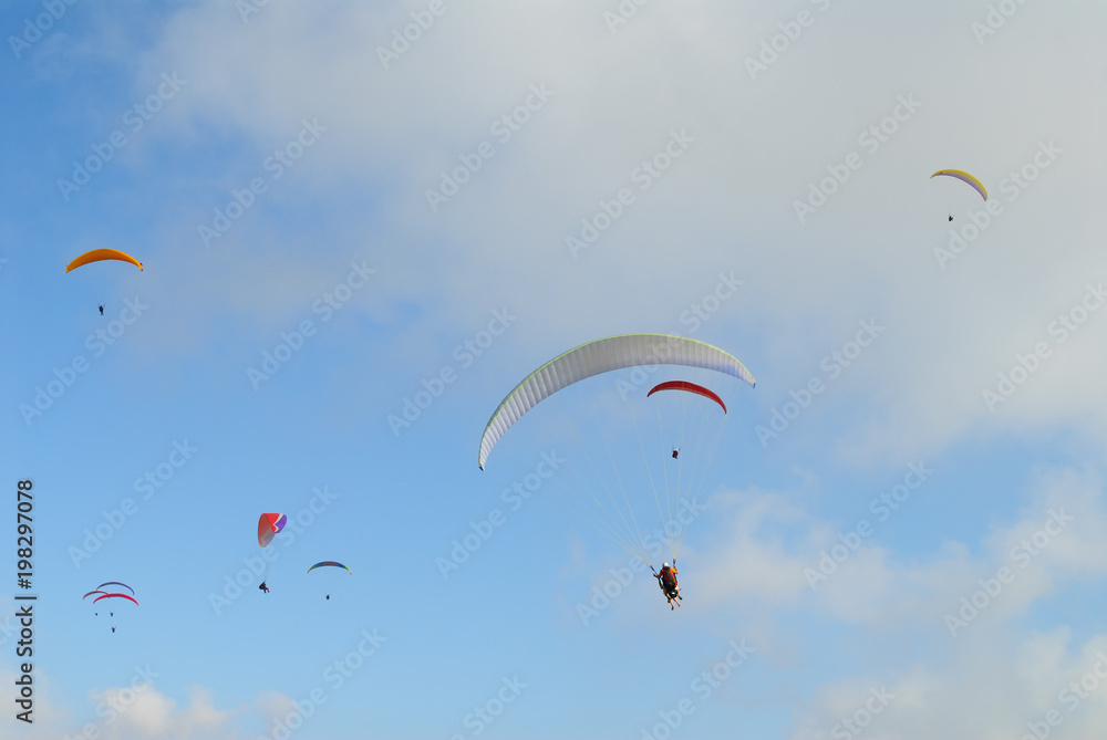 Competitions of paragliding. Extreme sport. Competitions of paragliding. Extreme sport.