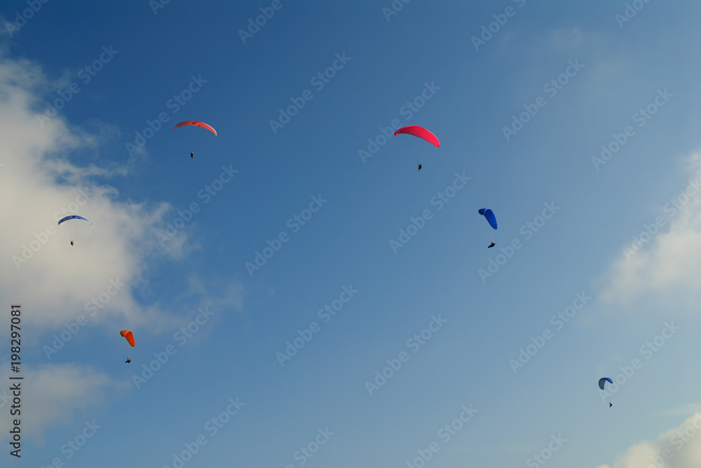 Competitions of paragliding. Extreme sport.