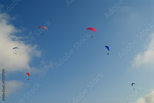 Competitions of paragliding. Extreme sport.