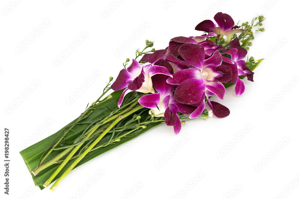 Fototapeta premium Orchideen von Thailand