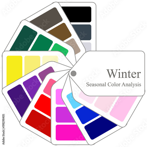 Color guide. Seasonal color analysis palette for winter type
