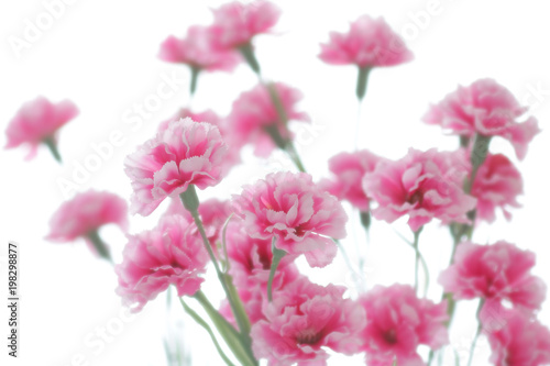 テーブルセッティングの花 © Free1970