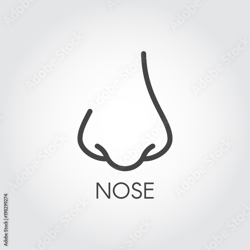 Icon of the human nose drawing in thin contour style. Skincare, beauty, plastic surgery, rhinoplasty and cosmetology treatment concept logo. Graphic web pictograph. Vector illustration