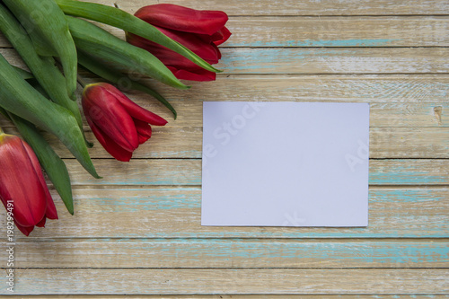 Red tulips and empty card for your text