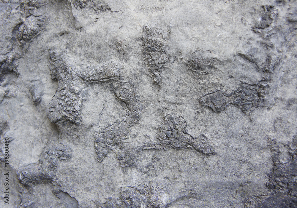 Fototapeta premium grey stone structure