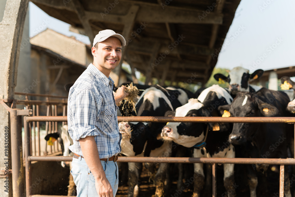 Breeder in front of his cows Breeder in front of his cows