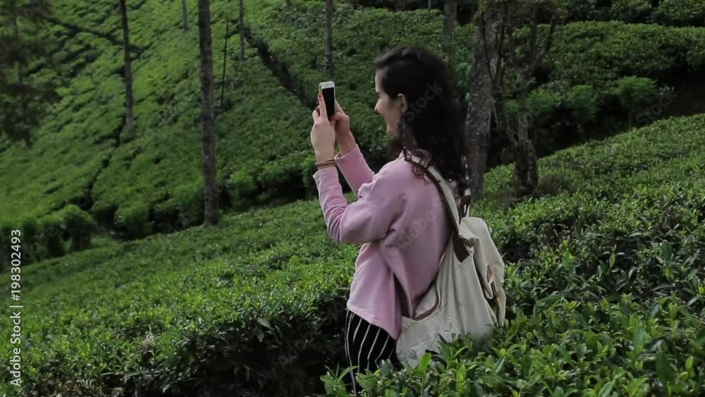girl tourist takes a photo of a tea plantation. girl tourist takes a photo of a tea plantation.