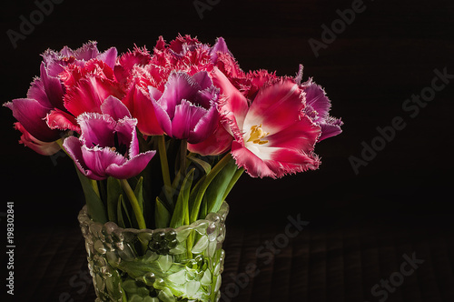 Fototapeta Naklejka Na Ścianę i Meble -  A bouquet of red and pink tulips in a glass vase on a dark background. 