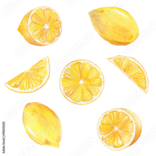 Obraz na płótnie Watercolor hand painted collection of lemon. Can be used for printing and decoration. w salonie