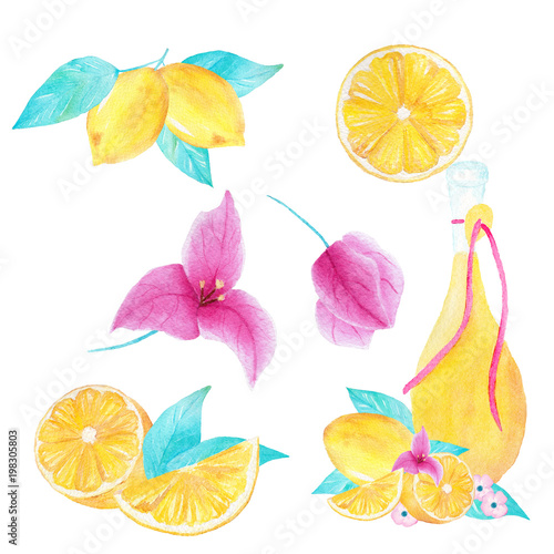 Watercolor hand painted collection of lemon  bouganvillea and olive oil.