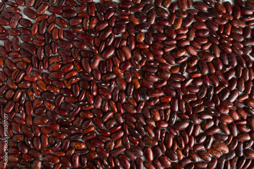 Beans are evenly scattered on a white table.