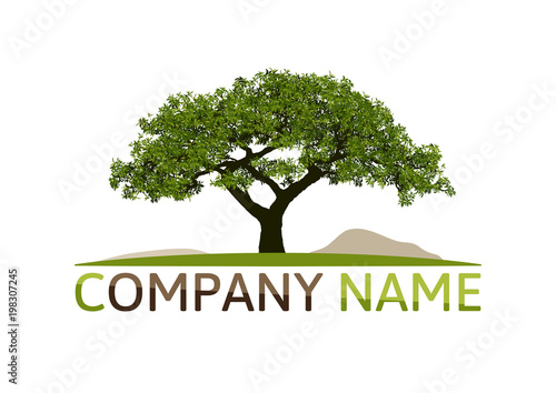 Abstract Tree Logo Design Vector. 