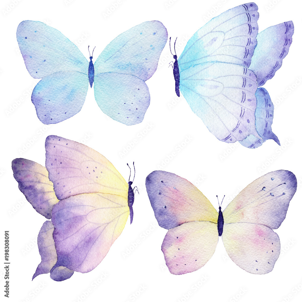 Watercolor butterfly set hand drawn painting. Can be used for greeting cards,wedding invitations,logo,T-shirts,bags,posters,printing on fabric,wallpaper,packaging.