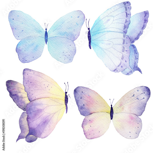 Obraz na płótnie Watercolor butterfly set hand drawn painting. Can be used for greeting cards,wedding invitations,logo,T-shirts,bags,posters,printing on fabric,wallpaper,packaging. w salonie