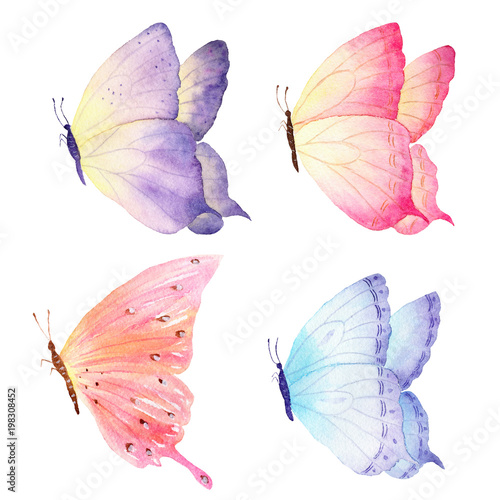 Colorful hand drawn watercolor butterfly collection. Ideal for invitations, c...