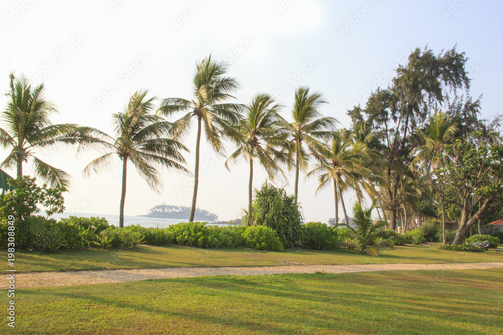 Beautiful view of the tropical beach of Sri Lanka on a sunny day Beautiful view of the tropical beach of Sri Lanka on a sunny day
