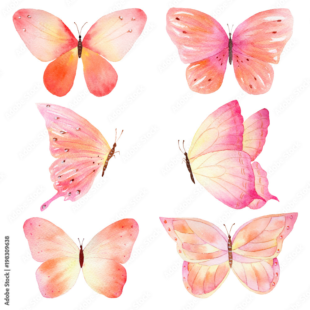 Watercolor handmade butterfly set on white background.