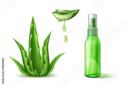 Vector aloe vera realistic cosmetic spray tube ad
