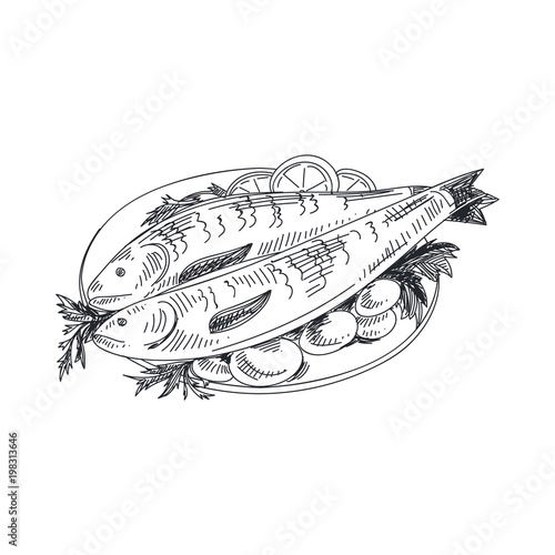 Beautiful vector hand drawn seafood Illustration.