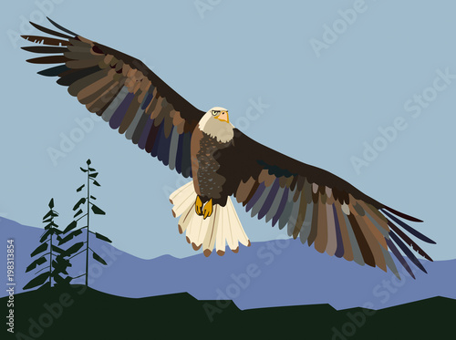 The eagle soars. Vector drawing