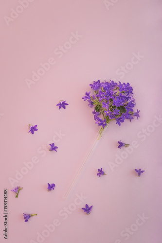 Flower of purple campanula in glass tube