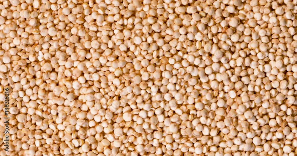 Close up a white quinoa seeds , gluten free superfoods with high protine , anioxidant and fiber , 4k Dci resolution Close up a white quinoa seeds , gluten free superfoods with high protine , anioxidant and fiber , 4k Dci resolution