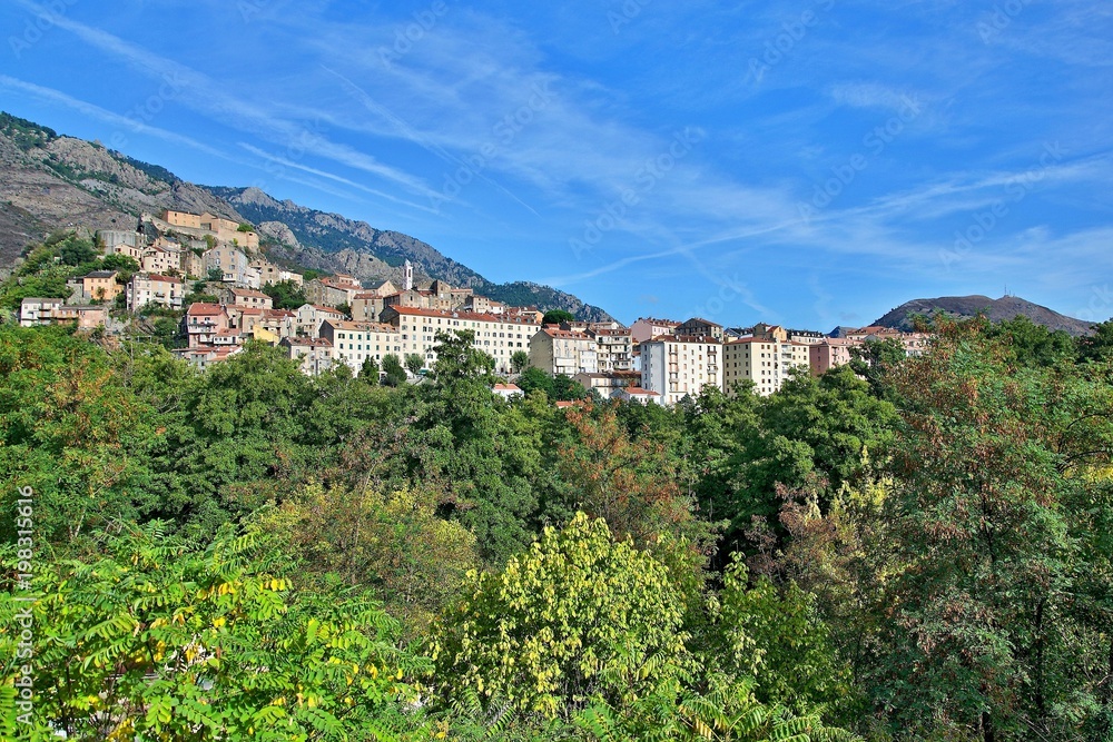 Corsica-view of the town Corte
